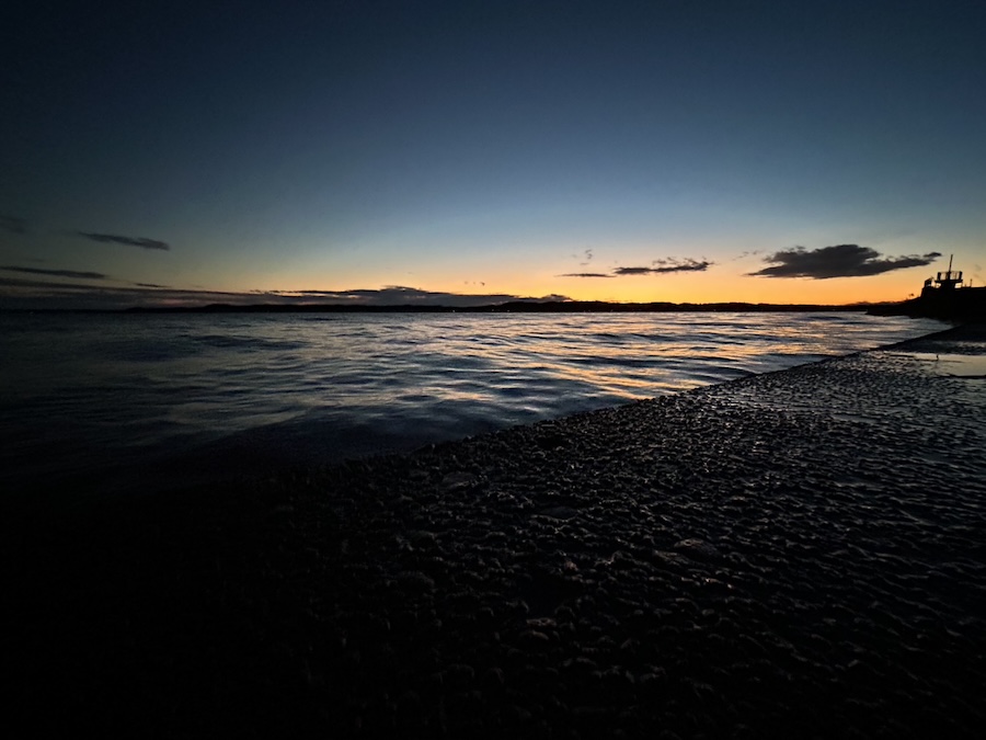 ｜カスミ水系は難易度MAX、攻略の鍵は？釣り納めで良型をキャッチしたテクニックを公開【週刊ササカツ無双】