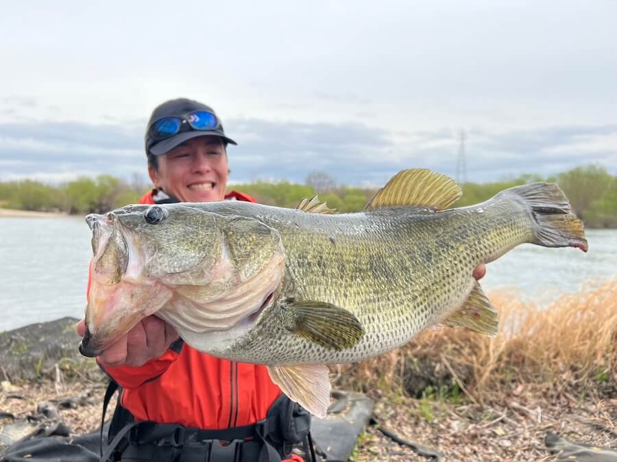 ｜カスミ水系は難易度MAX、攻略の鍵は？釣り納めで良型をキャッチしたテクニックを公開【週刊ササカツ無双】