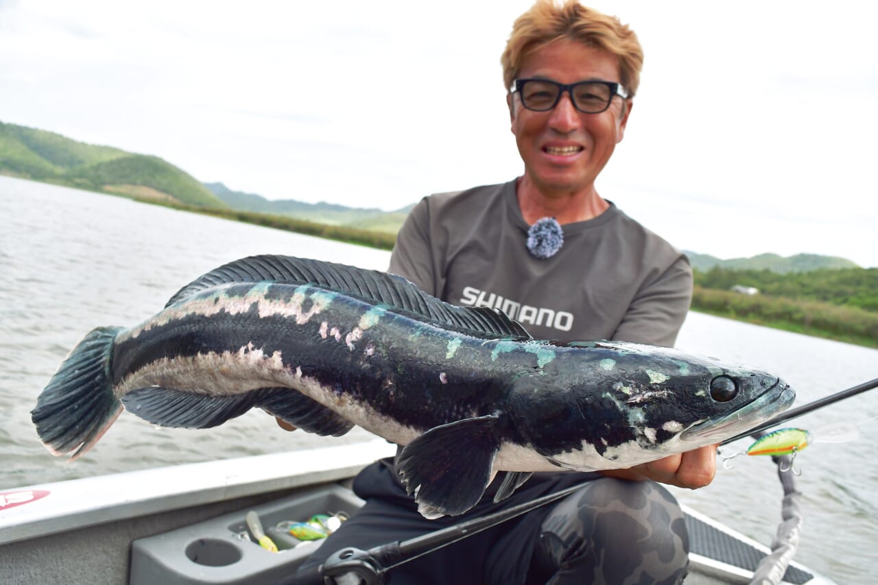 |【黒き宝石】自己記録更新なるか⁉奥田学がパックロッドで怪魚に挑む!!【相棒ロッドキャプチャーが大活躍!】