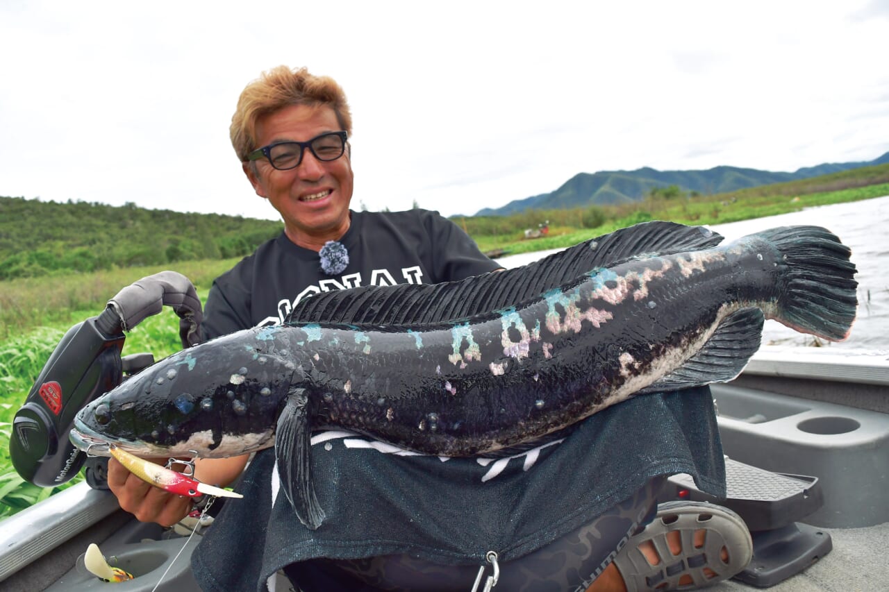 |【黒き宝石】自己記録更新なるか⁉奥田学がパックロッドで怪魚に挑む!!【相棒ロッドキャプチャーが大活躍!】