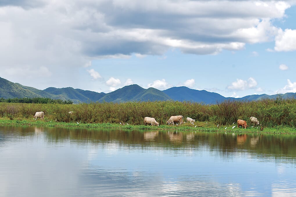 |【黒き宝石】自己記録更新なるか⁉奥田学がパックロッドで怪魚に挑む!!【相棒ロッドキャプチャーが大活躍!】
