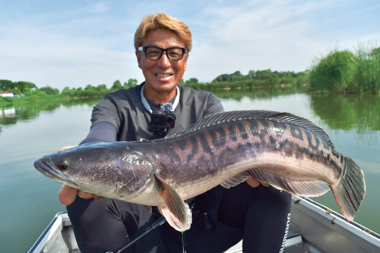 |【黒き宝石】自己記録更新なるか⁉奥田学がパックロッドで怪魚に挑む!!【相棒ロッドキャプチャーが大活躍!】