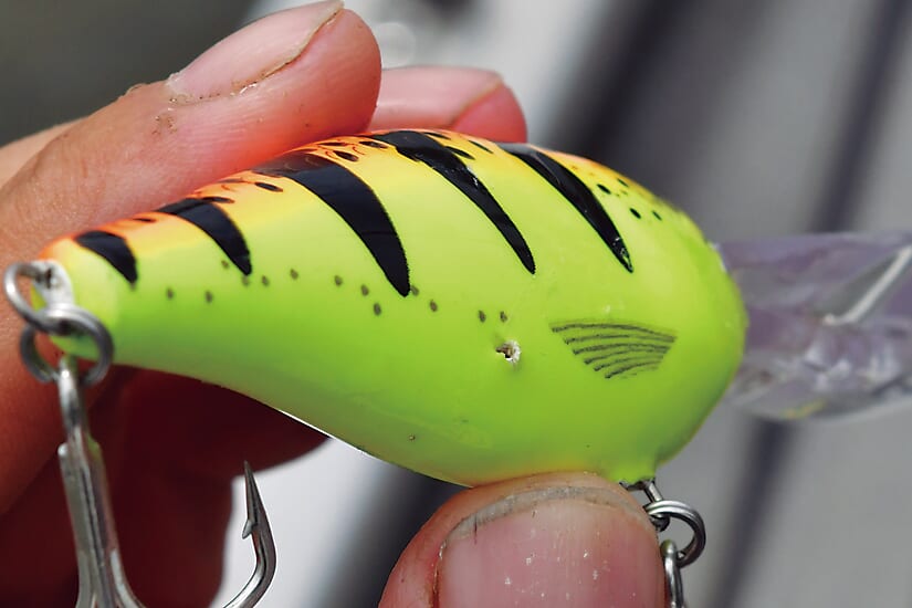 |【黒き宝石】自己記録更新なるか⁉奥田学がパックロッドで怪魚に挑む!!【相棒ロッドキャプチャーが大活躍!】