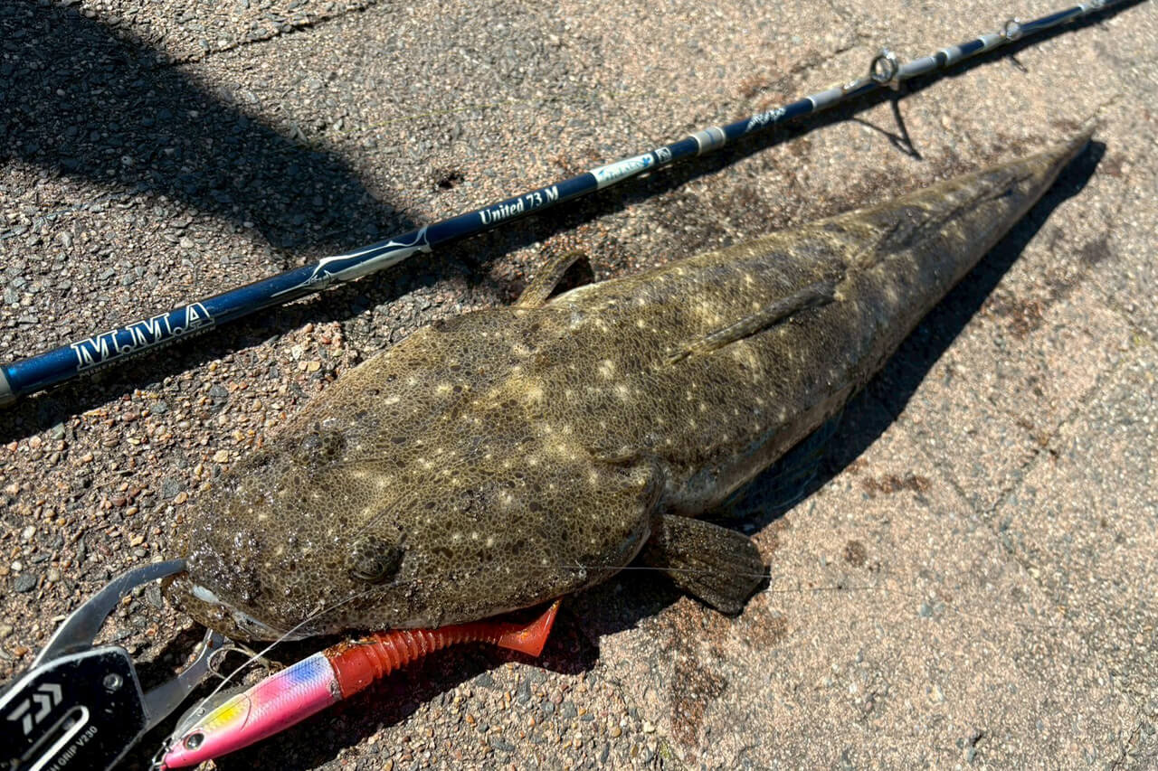 ｜「実は激アツです」オペラハウスの前で釣りをしてみたら…。カツオからサメまで釣れるってホント!?