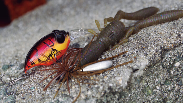 「点」の釣りと「線」の釣り！今のバス釣りでは境界が曖昧になっている…⁉その考え方を解説!!