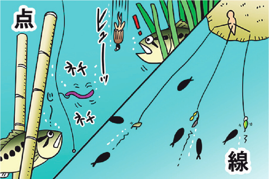 ｜「点」の釣りと「線」の釣り！今のバス釣りでは境界が曖昧になっている…⁉その考え方を解説!!