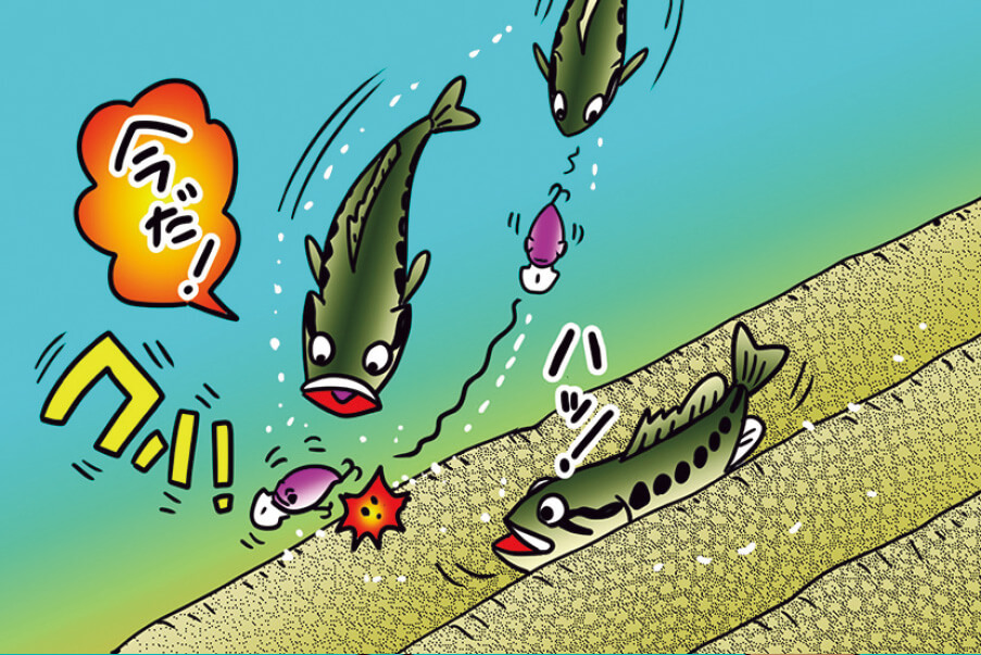 ｜「点」の釣りと「線」の釣り！今のバス釣りでは境界が曖昧になっている…⁉その考え方を解説!!