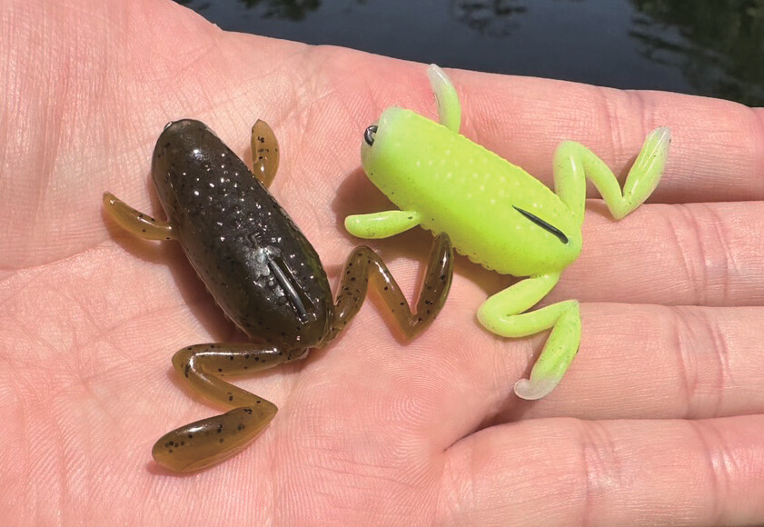 ｜バスを実際に釣って検証10本!!『アピールとナチュラルどっちが釣れる？』ほか