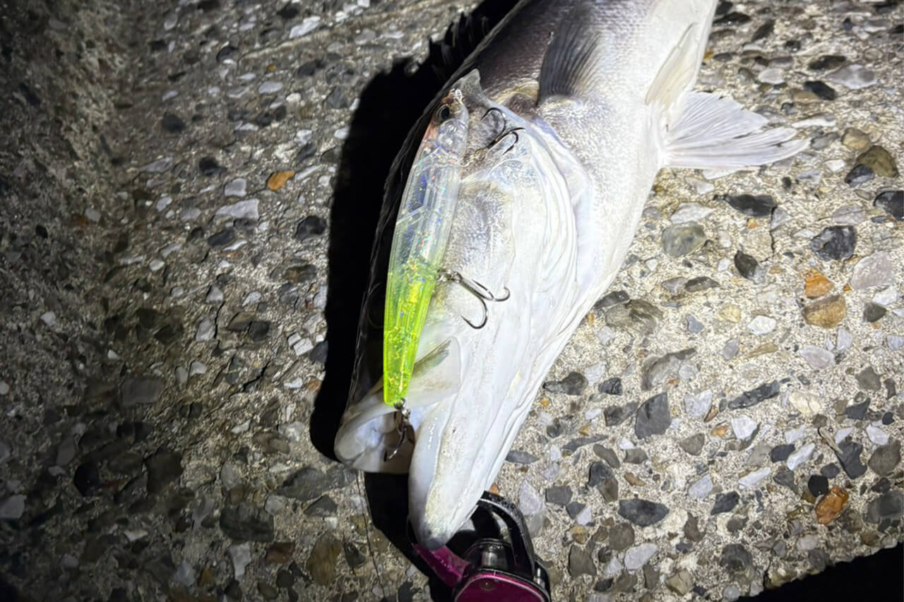 |「冬に釣りたいなら“コレ巻いて”」これからの時期にオススメしたいルアー3選。「デカいのも狙えます」