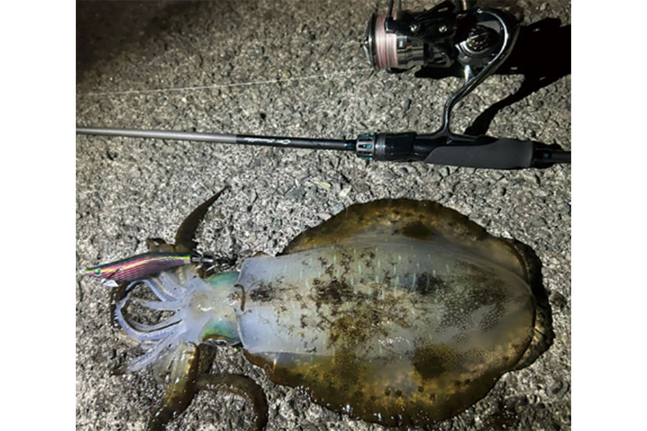 ｜DAIWAから12ブレイドのエギング専用PEが登場。エギの操作性を追求した、最も“しなやか”なラインに。