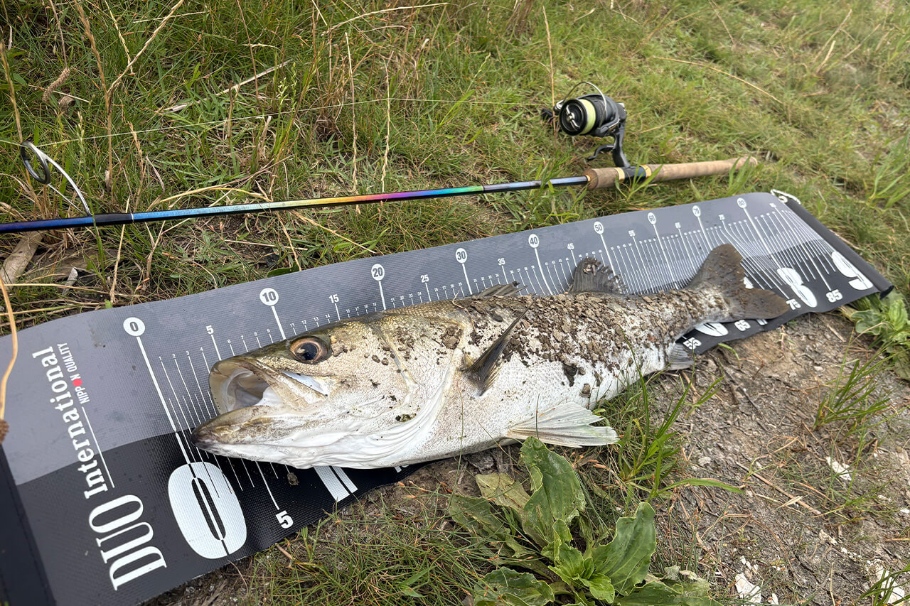 ｜ワールドシャウラリミテッド2832Rを1年間使い込んだインプレッション。「王道の最高傑作でした」