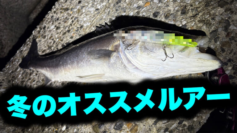 「冬に釣りたいなら“コレ巻いて”」これからの時期にオススメしたいルアー3選。「デカいのも狙えます」