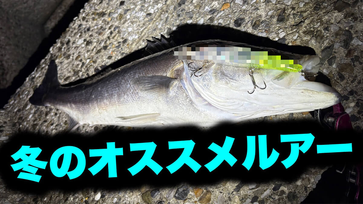 |「冬に釣りたいなら“コレ巻いて”」これからの時期にオススメしたいルアー3選。「デカいのも狙えます」