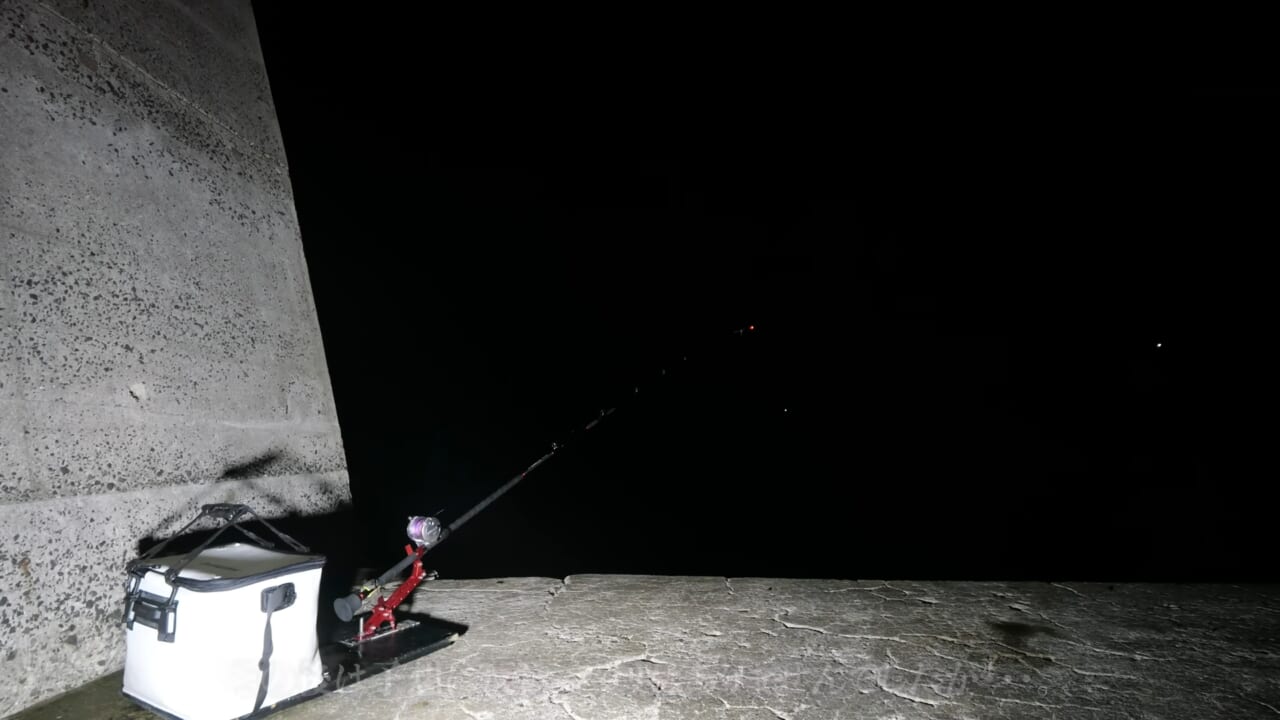 ｜「マジで釣れるの…」「ヤバいくらいいるかも」身近な堤防で“記録クラス”を狙った結果。「幻の噂を確かめていきます」