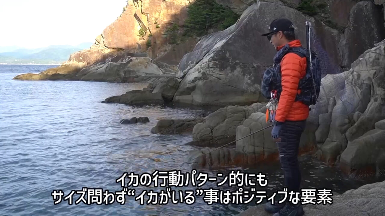 |【プロvs一般人アングラー】秋に“デカイカ出現”!? 湯川マサタカの『セフィアチャレンジ in 徳島県』。アウェイの地を攻略なるか…。