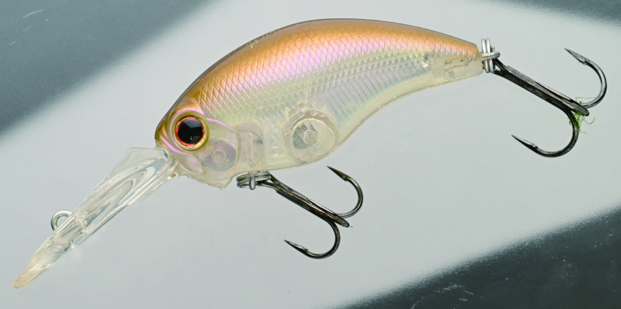 ｜バスを実際に釣って検証10本!!『アピールとナチュラルどっちが釣れる？』ほか