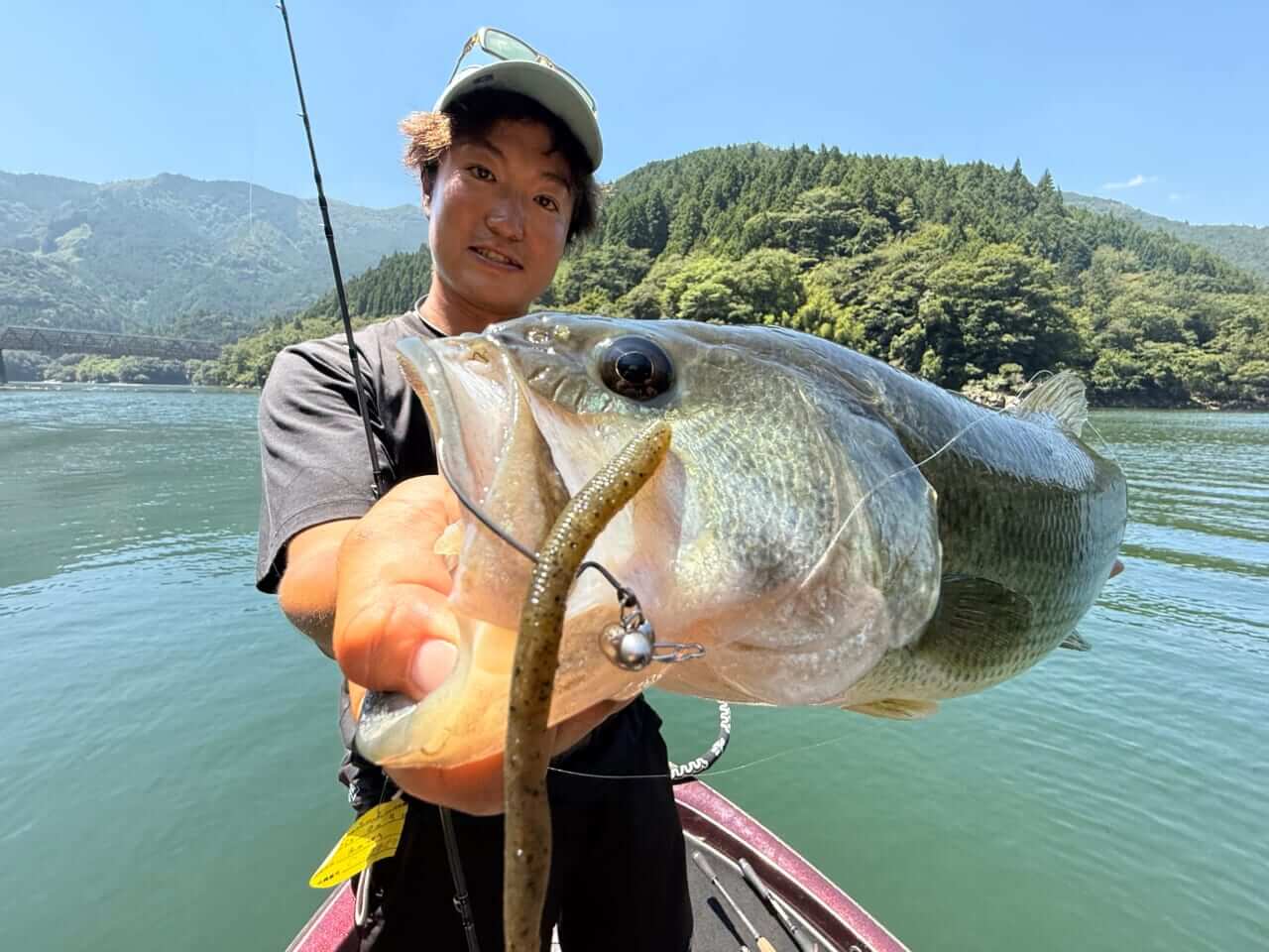 ｜【今江プロも大注目！】BKKの話題作『ファストヘッド』を使いこなすための超解説!!