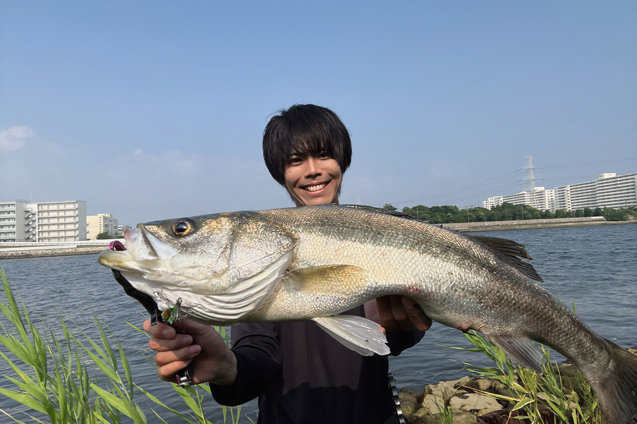 ｜2025年の東京湾を振り返りながらシーズナルパターンを解説。オススメルアーと釣り方は？「大型のシーバスにも出会えました」