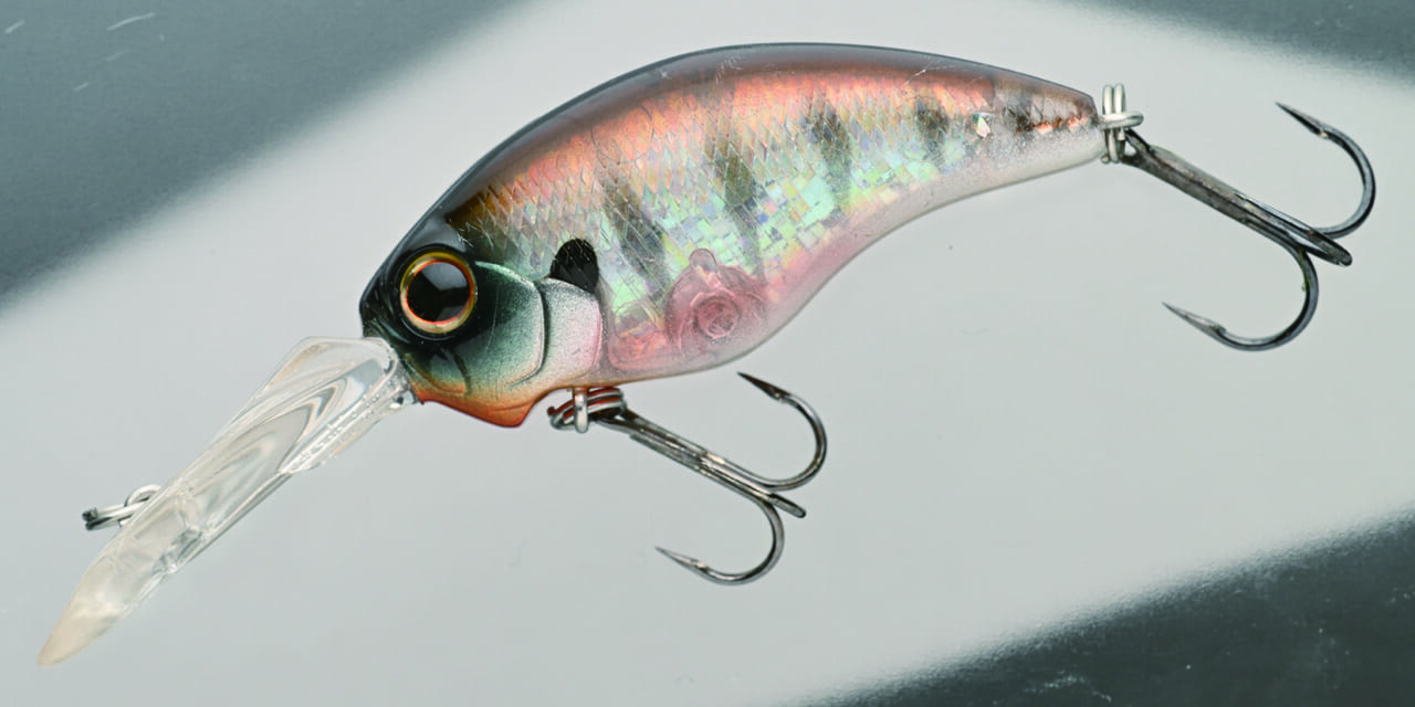 ｜バスを実際に釣って検証10本!!『アピールとナチュラルどっちが釣れる？』ほか