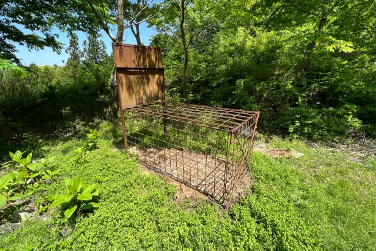 ｜「フロントガラスを割られて…」缶コーヒーの匂いでクマが車に侵入⁉︎ 思わぬ遭遇を避けるための注意点とは。