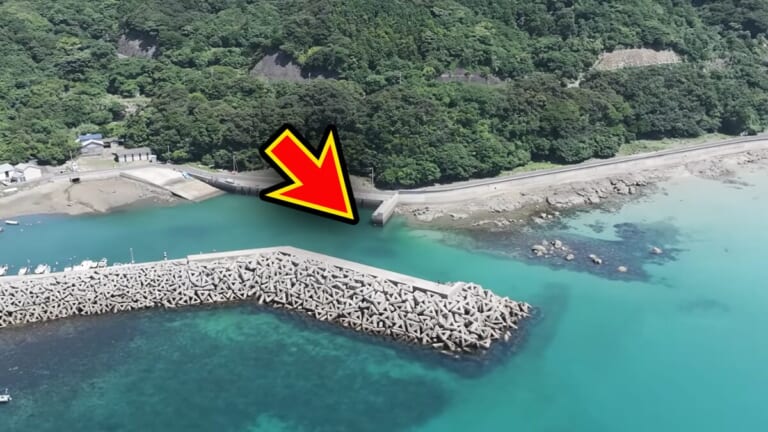 「マジで釣れるの…」「ヤバいくらいいるかも」身近な堤防で“記録クラス”を狙った結果。「幻の噂を確かめていきます」