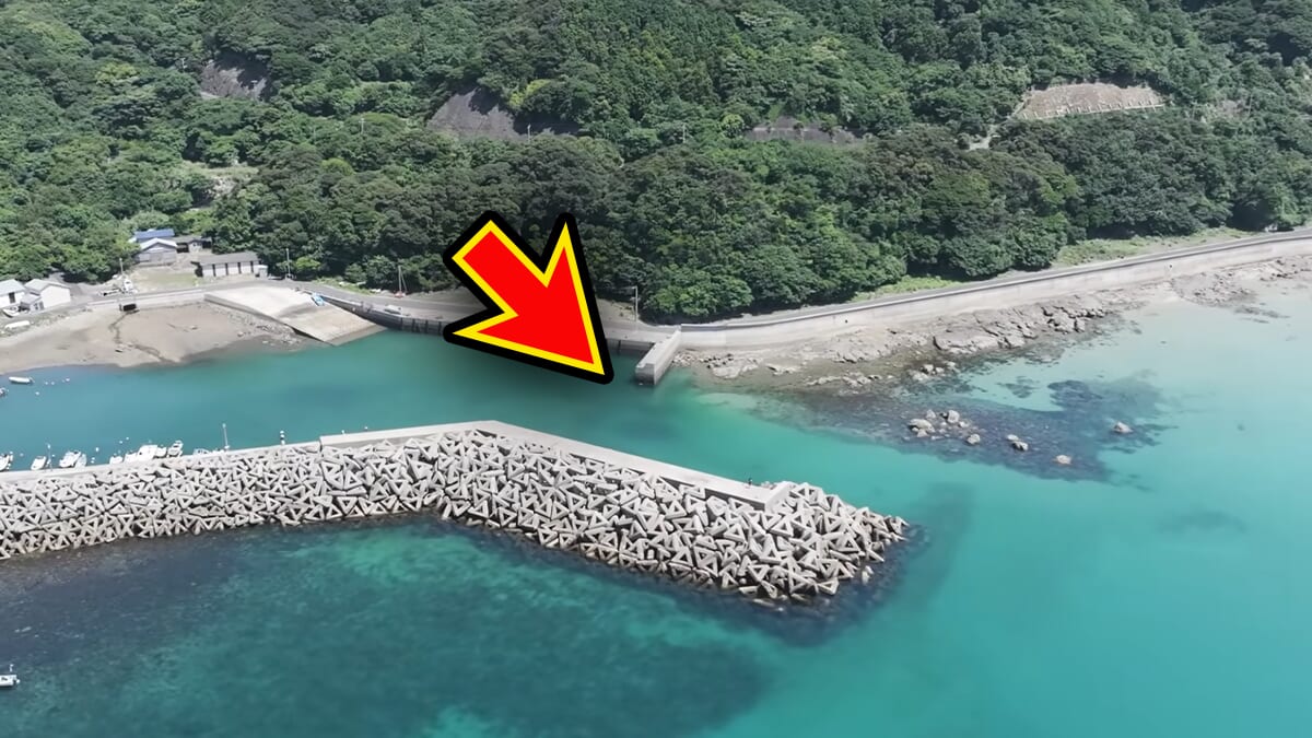 ｜「マジで釣れるの…」「ヤバいくらいいるかも」身近な堤防で“記録クラス”を狙った結果。「幻の噂を確かめていきます」