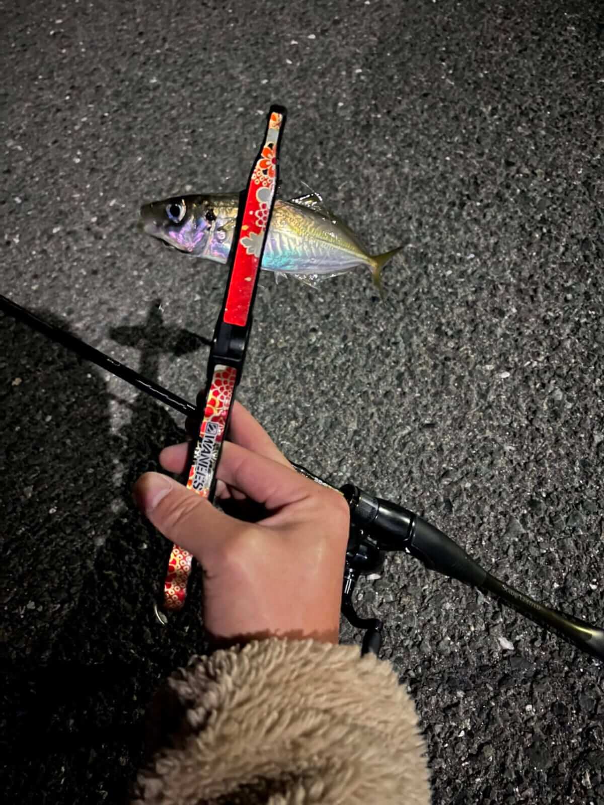 ｜手軽にフラっと行けて、奥深い。食べても美味しいアジングの魅力とは？ 使用タックルも解説。