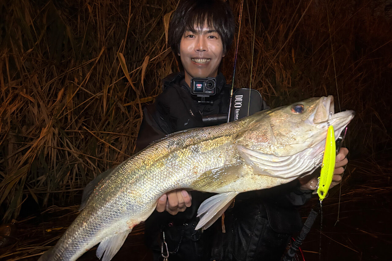 ｜2025年の東京湾を振り返りながらシーズナルパターンを解説。オススメルアーと釣り方は？「大型のシーバスにも出会えました」