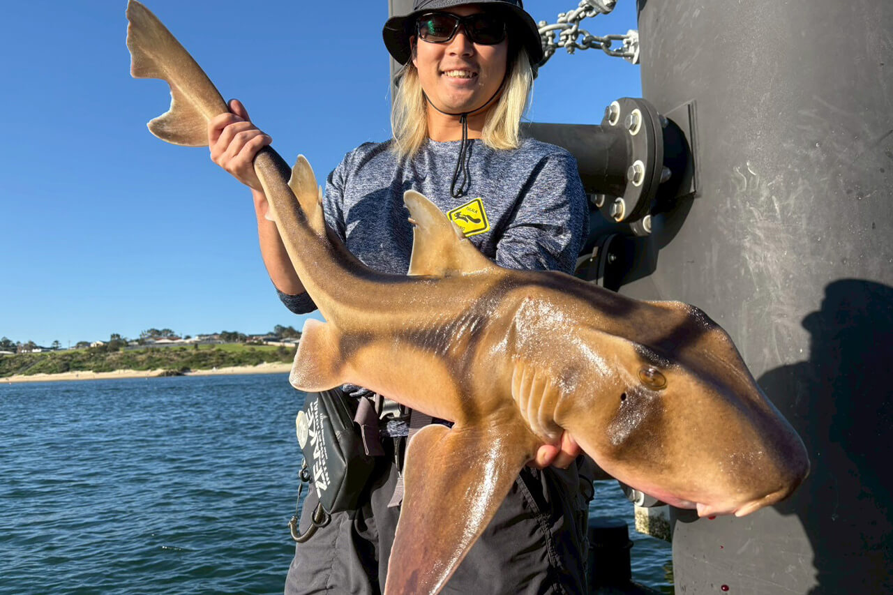 ｜「実は激アツです」オペラハウスの前で釣りをしてみたら…。カツオからサメまで釣れるってホント!?