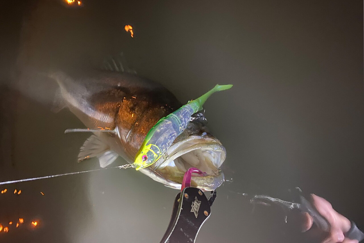 |「冬に釣りたいなら“コレ巻いて”」これからの時期にオススメしたいルアー3選。「デカいのも狙えます」