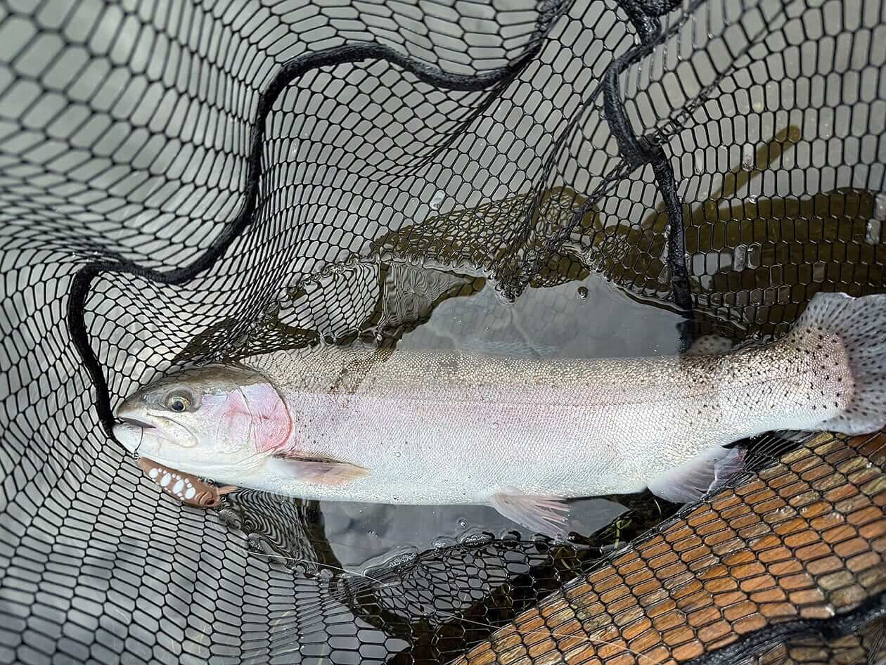 ｜ただのミノーにあらず！なんでも釣れる突き抜け系ミノーのこだわりとは？