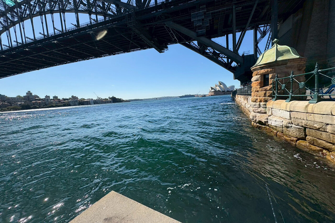 ｜「実は激アツです」オペラハウスの前で釣りをしてみたら…。カツオからサメまで釣れるってホント!?