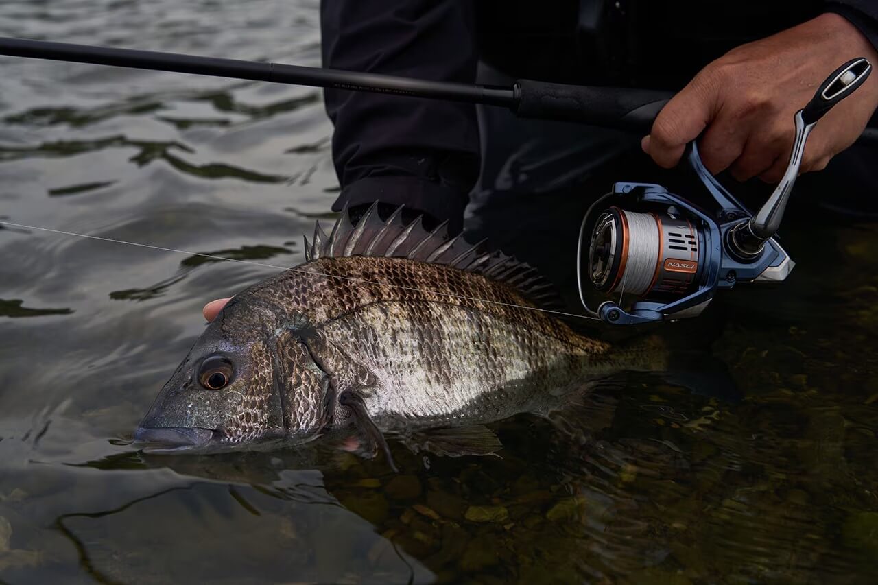 ｜シマノの『大人気リール』が“5年ぶりのフルモデルチェンジ”。1万円台なのに上位機種のテクノロジーを受け継いだハイコスパモデルに。気になる価格と発売日は？