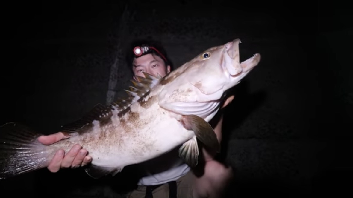 ｜「マジで釣れるの…」「ヤバいくらいいるかも」身近な堤防で“記録クラス”を狙った結果。「幻の噂を確かめていきます」