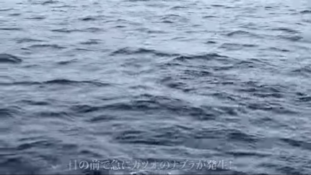 ｜「携帯の電波も入りません」「この島はスゴすぎる」“国内最高峰の離島”で狙う『巨大クエ』。磯の上で泊まり込みで釣りをしたら…。