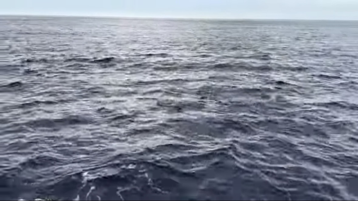 ｜「携帯の電波も入りません」「この島はスゴすぎる」“国内最高峰の離島”で狙う『巨大クエ』。磯の上で泊まり込みで釣りをしたら…。