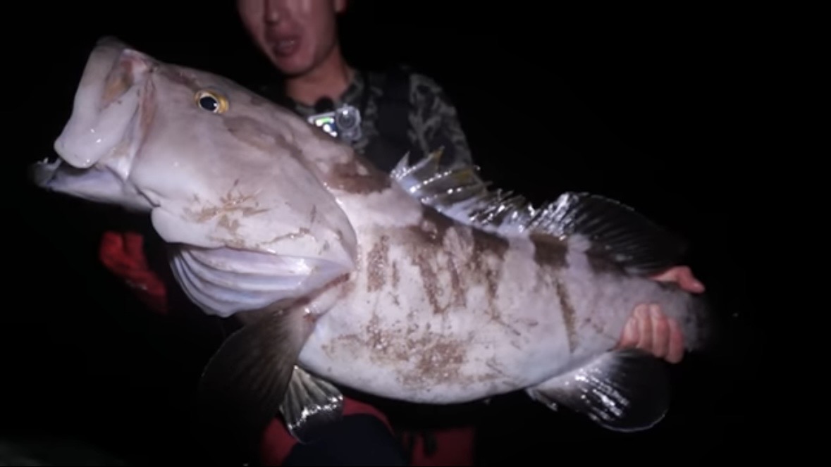 ｜「携帯の電波も入りません」「この島はスゴすぎる」“国内最高峰の離島”で狙う『巨大クエ』。磯の上で泊まり込みで釣りをしたら…。