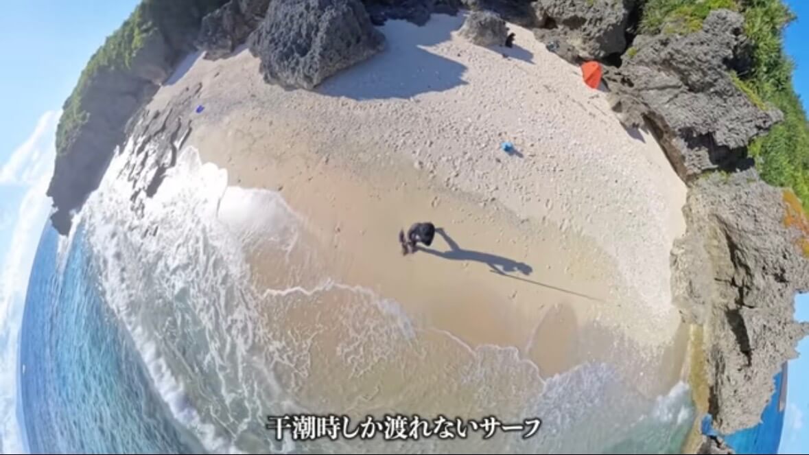 ｜「マジか」「こんなところで…」砂浜で釣れたまさかの“魚”に反響多数。「本当にレアなやつです」