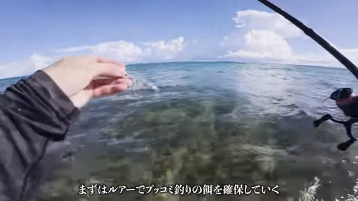 ｜「マジか」「こんなところで…」砂浜で釣れたまさかの“魚”に反響多数。「本当にレアなやつです」