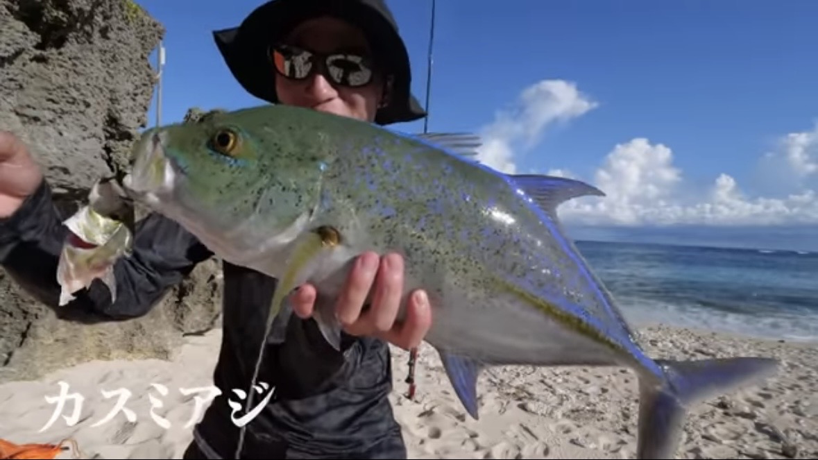 ｜「マジか」「こんなところで…」砂浜で釣れたまさかの“魚”に反響多数。「本当にレアなやつです」