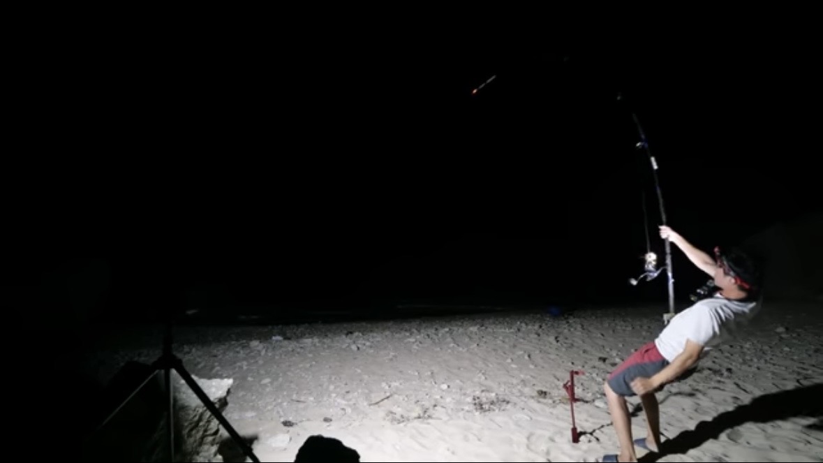 ｜「マジか」「こんなところで…」砂浜で釣れたまさかの“魚”に反響多数。「本当にレアなやつです」