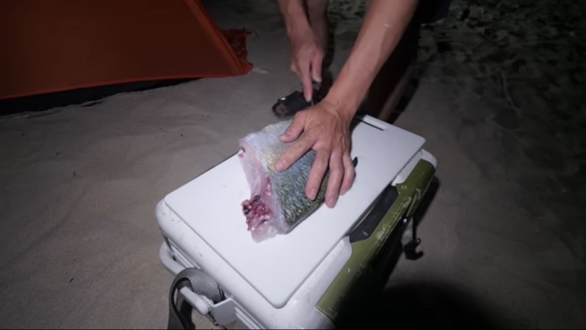 ｜「マジか」「こんなところで…」砂浜で釣れたまさかの“魚”に反響多数。「本当にレアなやつです」