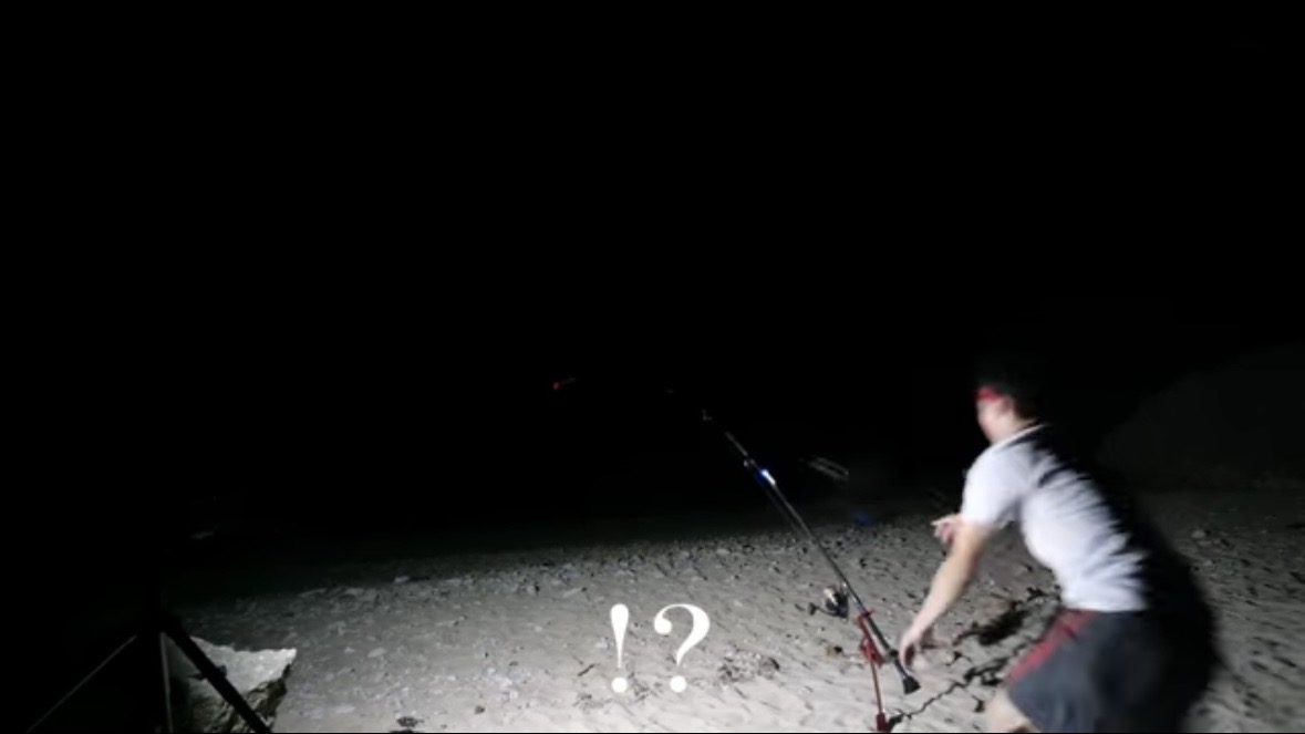 ｜「マジか」「こんなところで…」砂浜で釣れたまさかの“魚”に反響多数。「本当にレアなやつです」