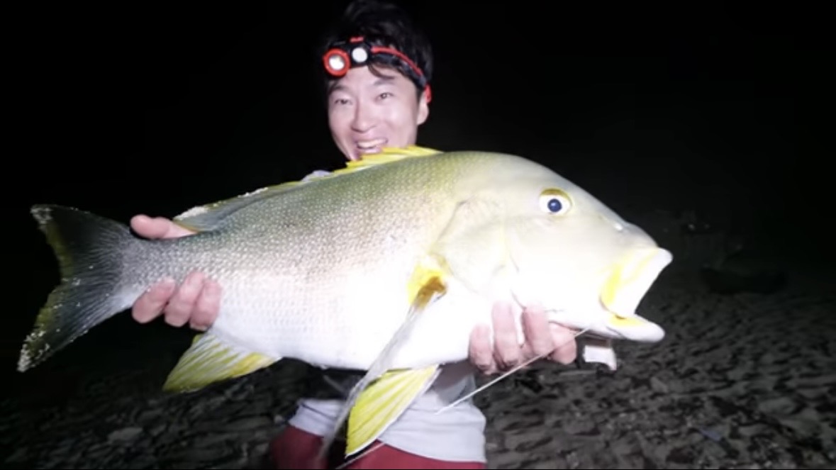 ｜「マジか」「こんなところで…」砂浜で釣れたまさかの“魚”に反響多数。「本当にレアなやつです」