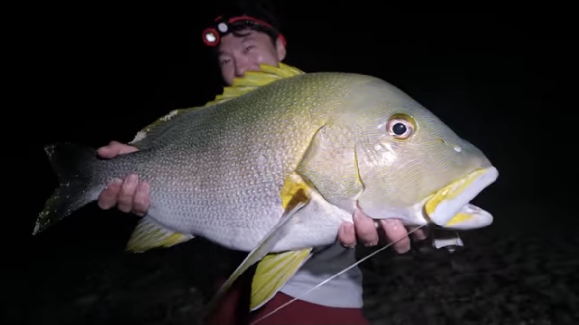 ｜「マジか」「こんなところで…」砂浜で釣れたまさかの“魚”に反響多数。「本当にレアなやつです」