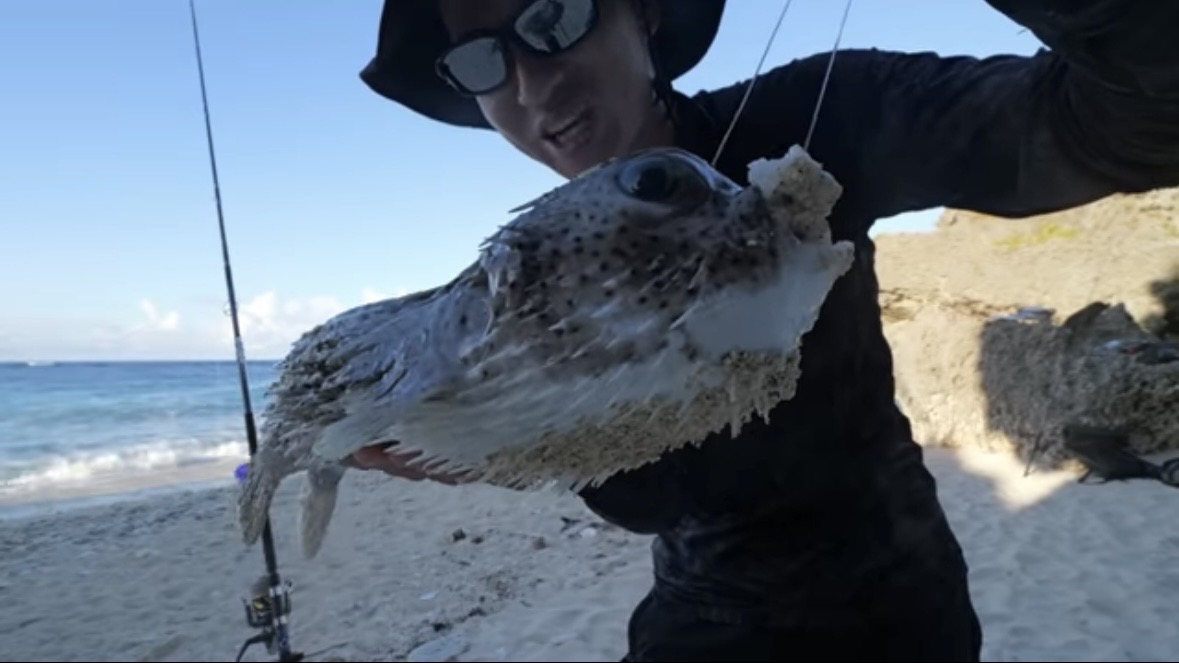 ｜「マジか」「こんなところで…」砂浜で釣れたまさかの“魚”に反響多数。「本当にレアなやつです」