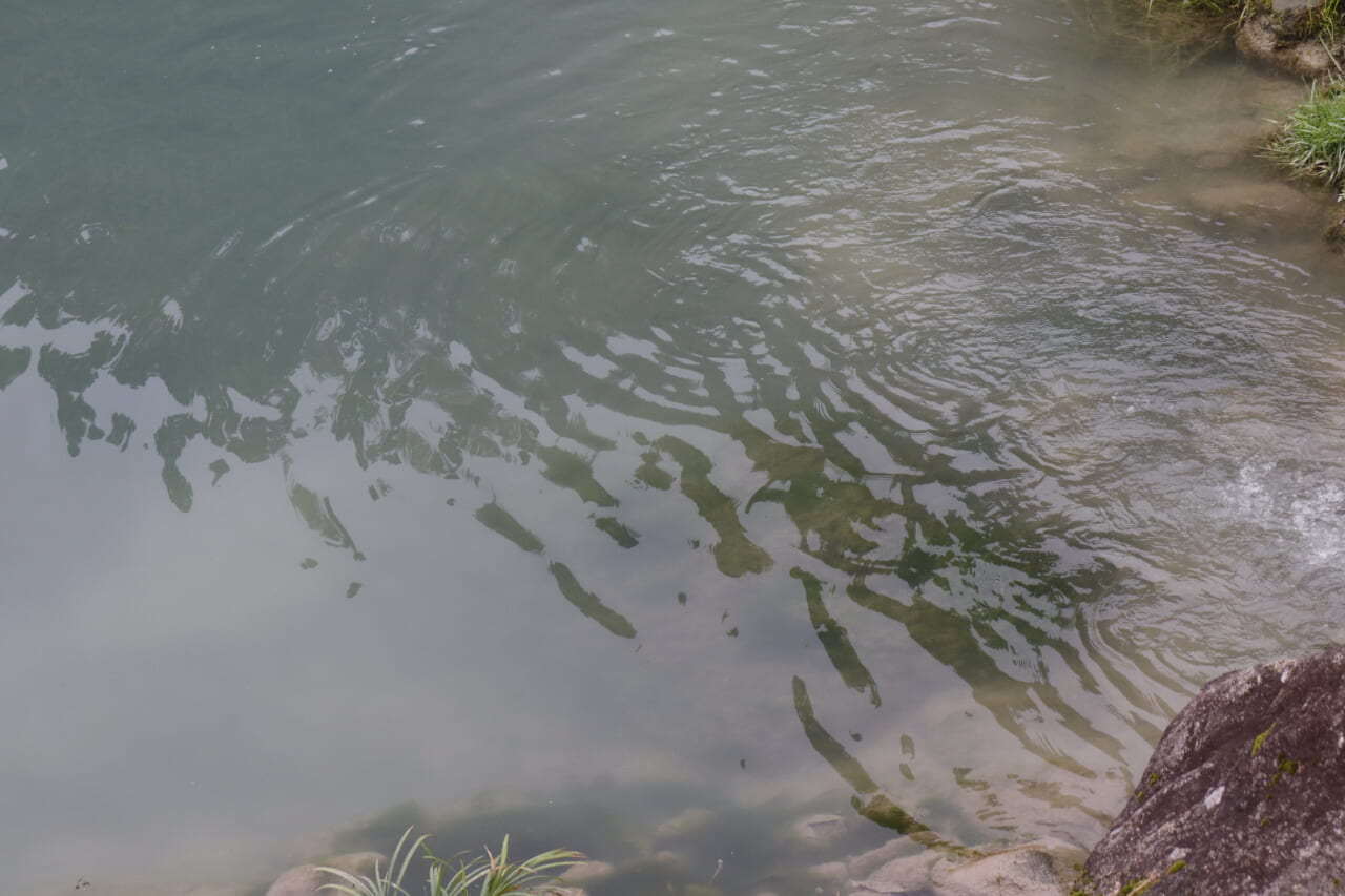 |キャンタ(狩野祐太)が「無かった色を補完する」オリカラを開発【キッド&キッドダディで/鱒王発刊記念!】