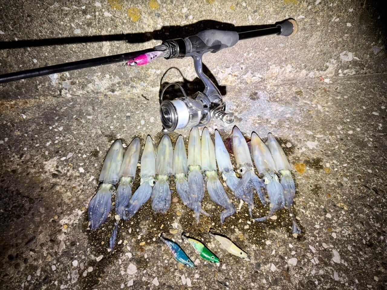 |ヒイカ・ミニエギング絶好期!テンタコで狙うと楽しすぎるし、おいしすぎて幸せ。