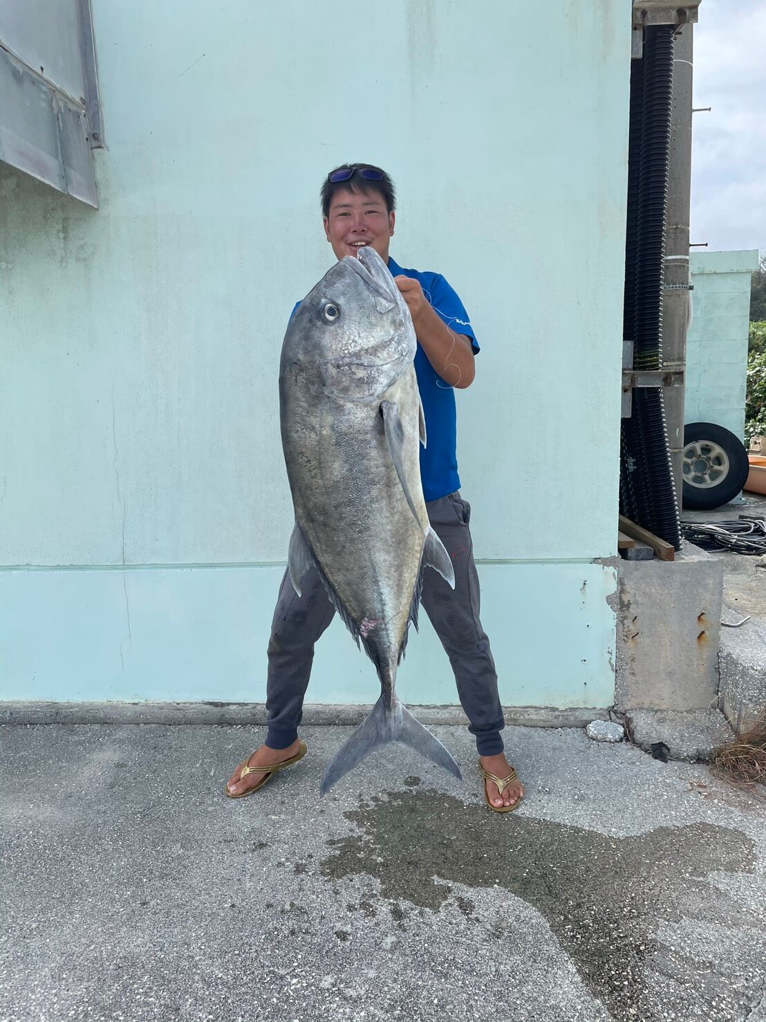 ｜「え、何この魚」「奇跡みたいな遭遇」手のひらサイズの『カジキ』を捕獲したら“大バズり”。リポストといいねが大変なことに。「背びれとくちばしもありました」