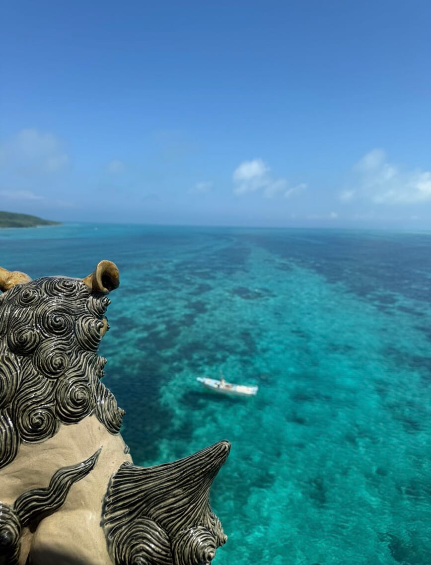｜「え、何この魚」「奇跡みたいな遭遇」手のひらサイズの『カジキ』を捕獲したら“大バズり”。リポストといいねが大変なことに。「背びれとくちばしもありました」